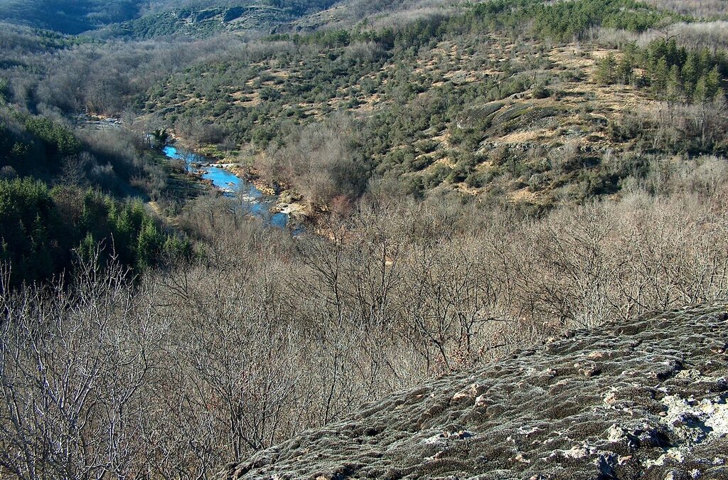 Странджа планина